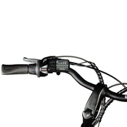 Ananda D15 E-Bike LED Display 2021 mit Ananda Logo