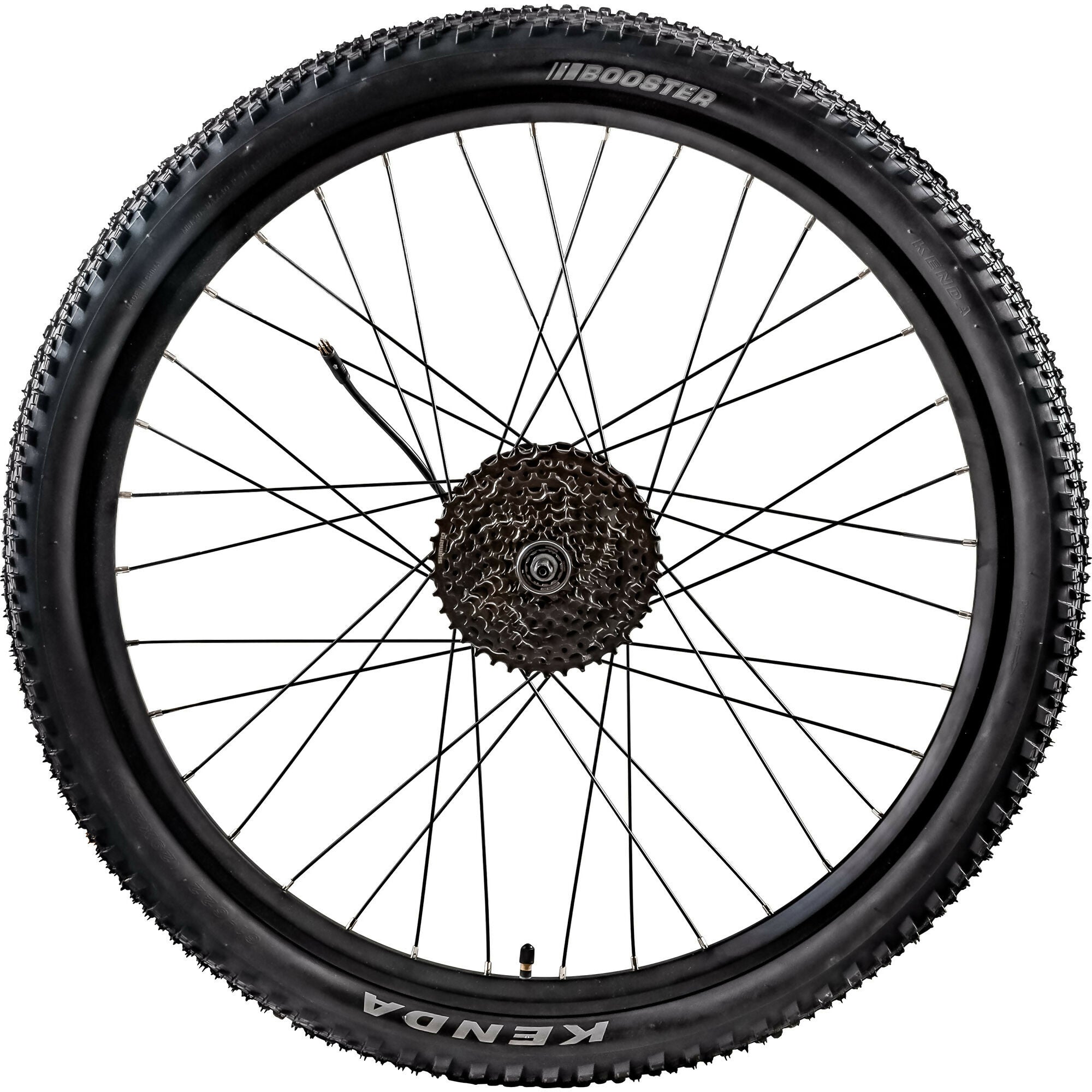 ujBGhYWgP3.jpg